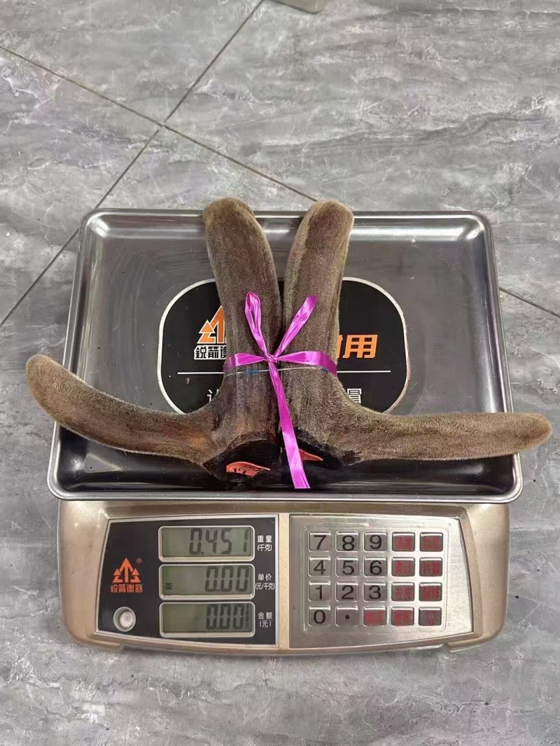 梅花干鹿茸头茬二杠整支梅花鹿茸二茬二杠