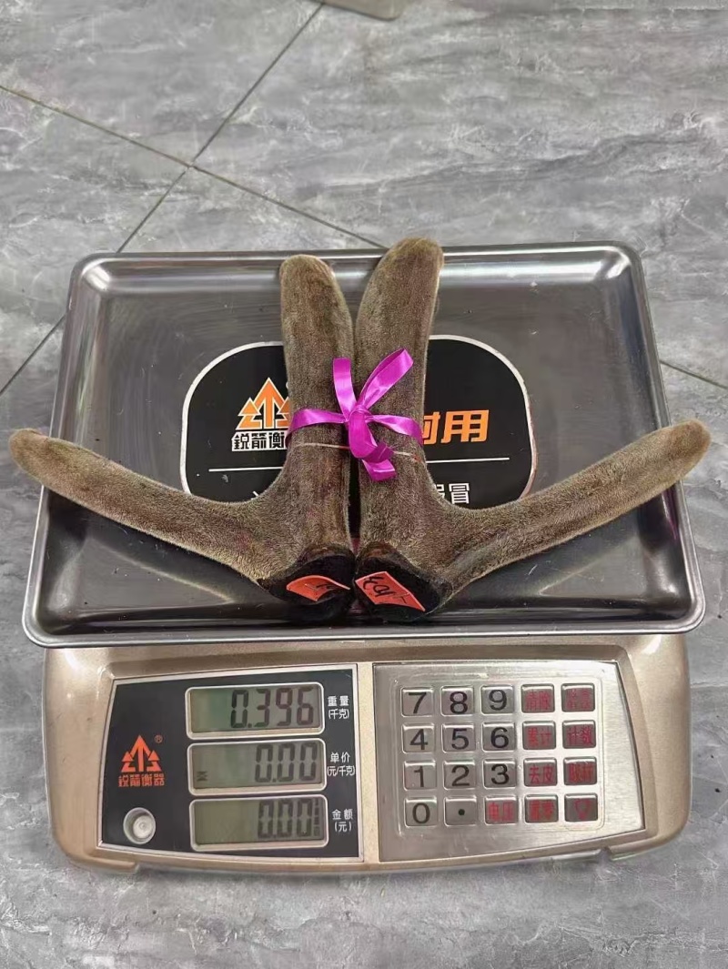 梅花干鹿茸头茬二杠整支梅花鹿茸二茬二杠