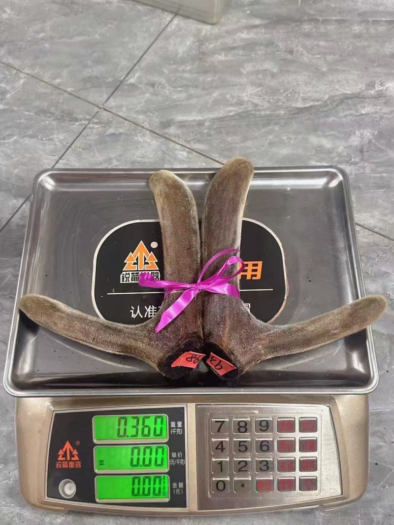 梅花干鹿茸头茬二杠整支梅花鹿茸二茬二杠