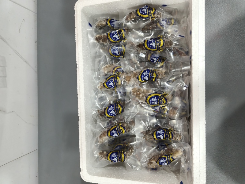 185元50只鲜食海参