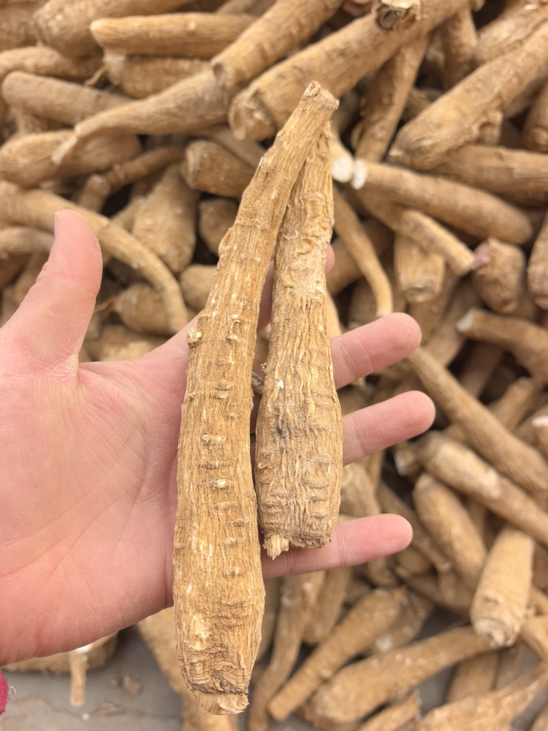 白芷白芷片白芷个产地直销量大从优产地山东