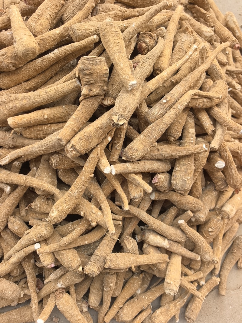 白芷白芷片白芷个产地直销量大从优产地山东