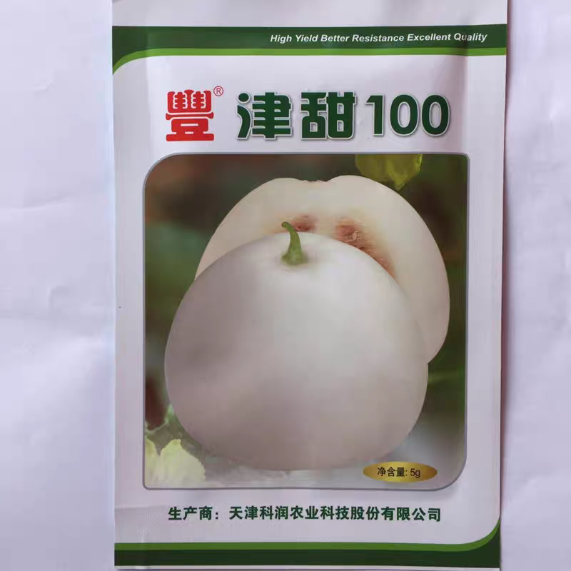 津甜100天津科润薄皮甜瓜单瓜600克肉质酥脆口感好