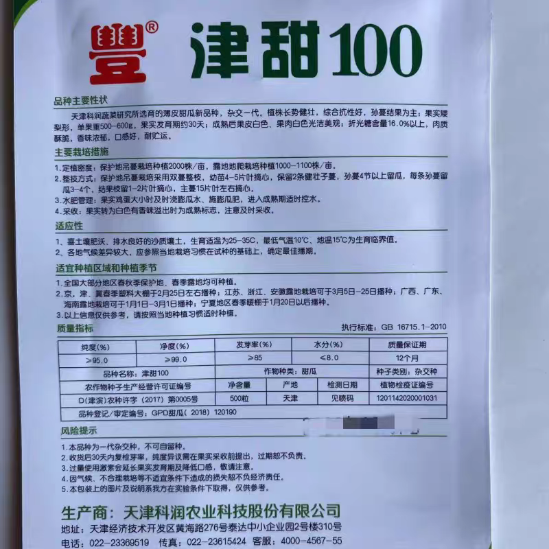 津甜100天津科润薄皮甜瓜单瓜600克肉质酥脆口感好