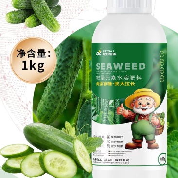 海藻寡糖膨大拉长，助力彭膨果果型周正无空心无畸形果