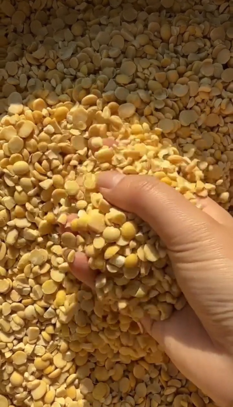 上地肥料豆黄豆碎，改善土壤，降低成本，一手货源