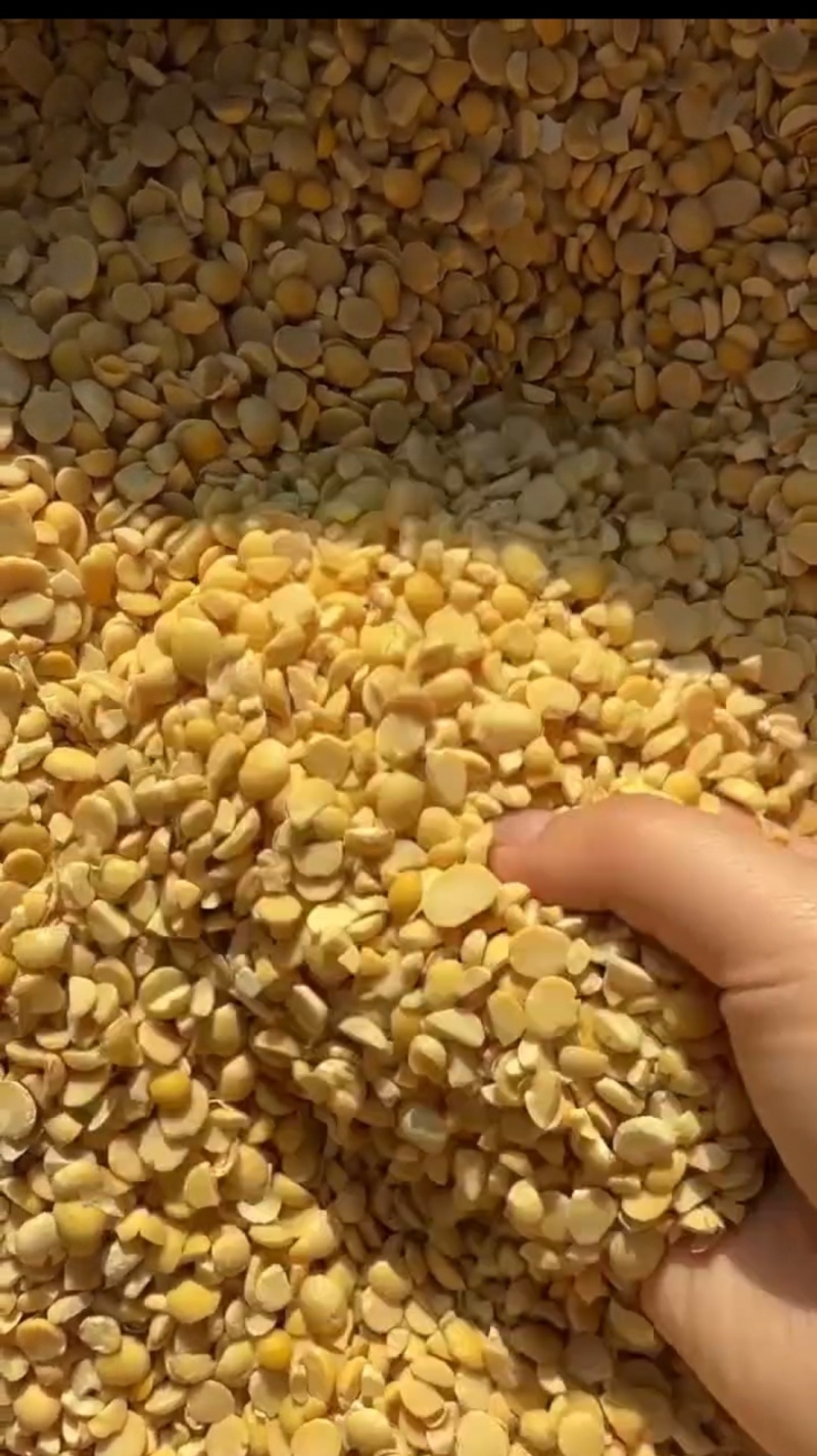 上地肥料豆黄豆碎，改善土壤，降低成本，一手货源