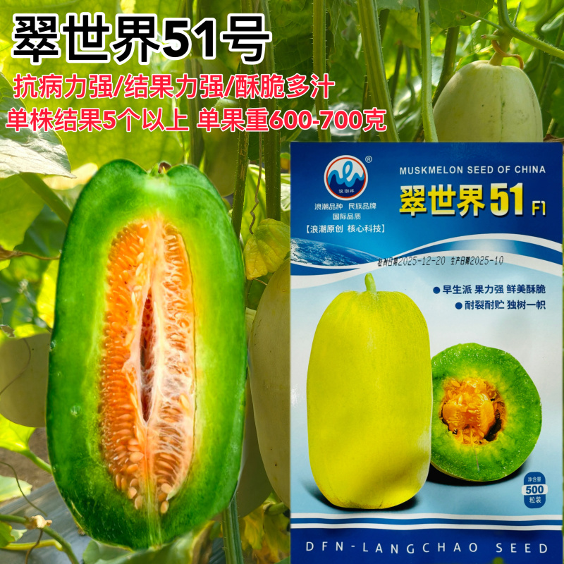 翠世界51甜瓜种子中早熟博洋甜瓜酥脆多汁香瓜种籽果肉青绿