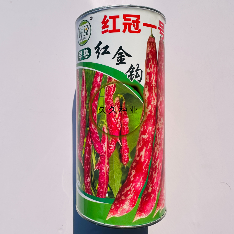 种盈红冠一号早熟红金钩豆角种子蔓生圆角肉厚肉质细腻春秋季