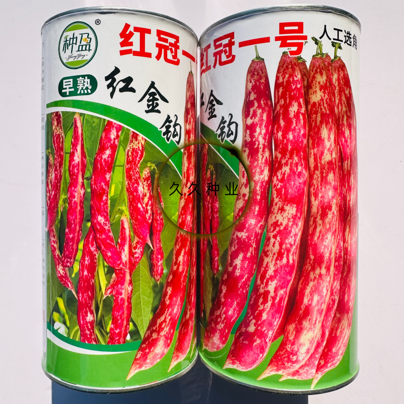 种盈红冠一号早熟红金钩豆角种子蔓生圆角肉厚肉质细腻春秋季