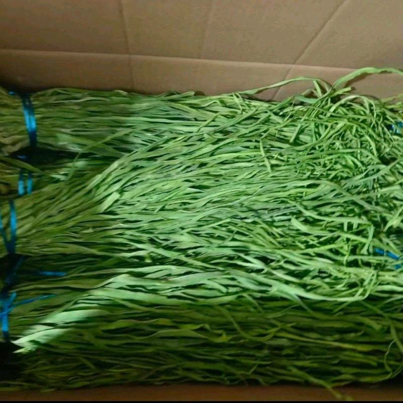 《贡菜干》云南优质精品贡菜干/厂家直发/品质保证/接受