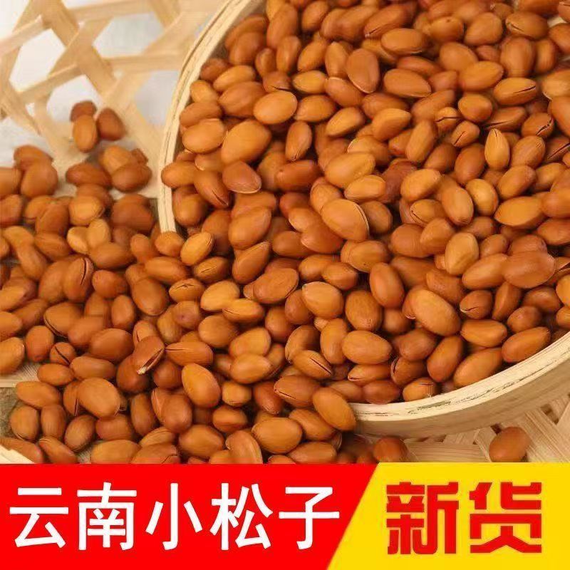 新货东北松子大颗粒大开口松子正常电商一件代发批量拿货