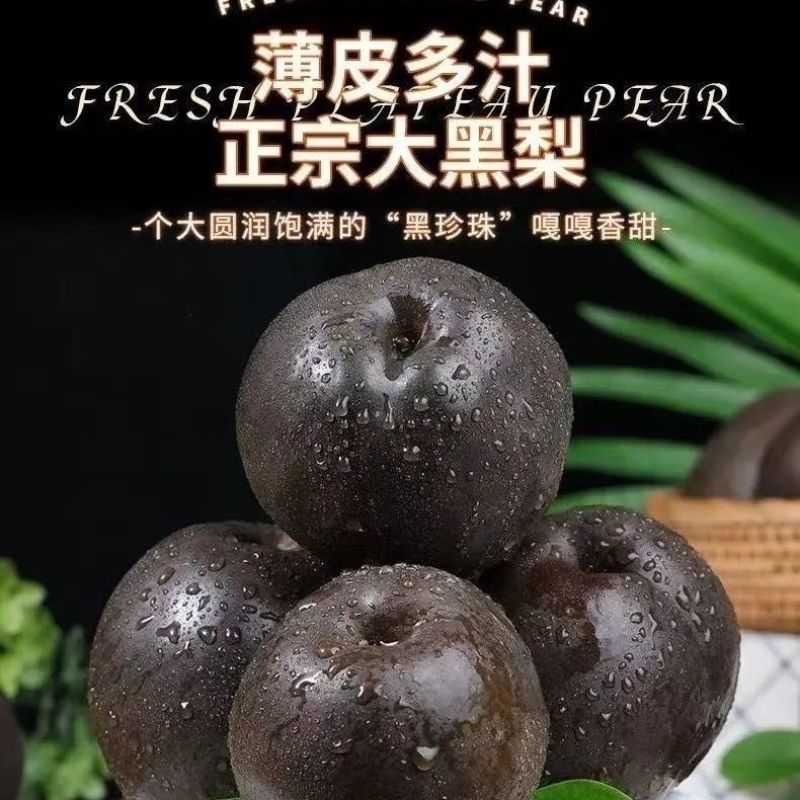 藏乌梨大量有货
