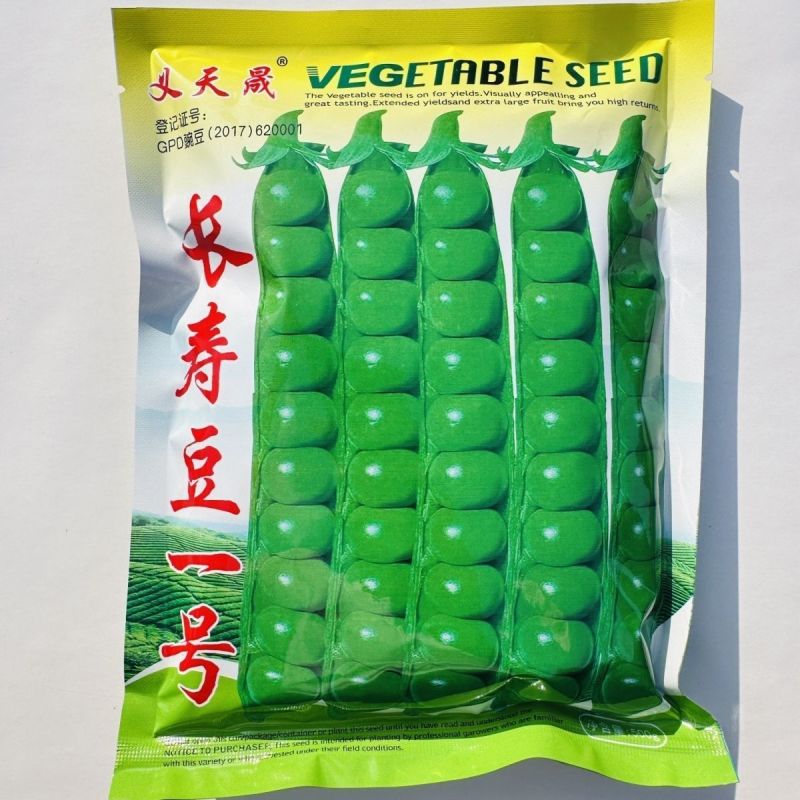 大颗粒豌豆种子籽粒饱满甜面白花硬荚抗寒耐旱抗病春秋青豆种