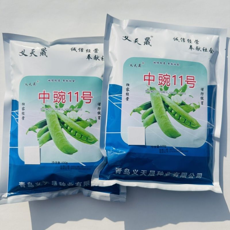 大颗粒豌豆种子籽粒饱满甜面白花硬荚抗寒耐旱抗病春秋青豆种