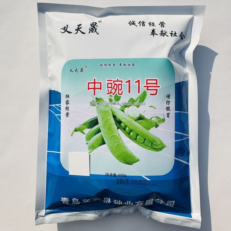 大颗粒豌豆种子籽粒饱满甜面白花硬荚抗寒耐旱抗病春秋青豆种