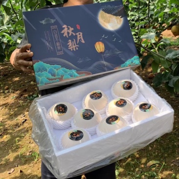 秋月梨礼盒正宗秋月梨送礼礼盒社区团购工厂福利