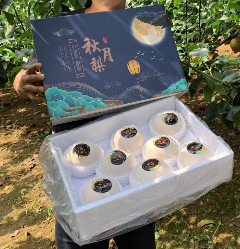 秋月梨礼盒正宗秋月梨送礼礼盒社区团购工厂福利