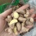 紫衣腰果180大果