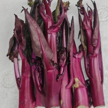 红油苔菜