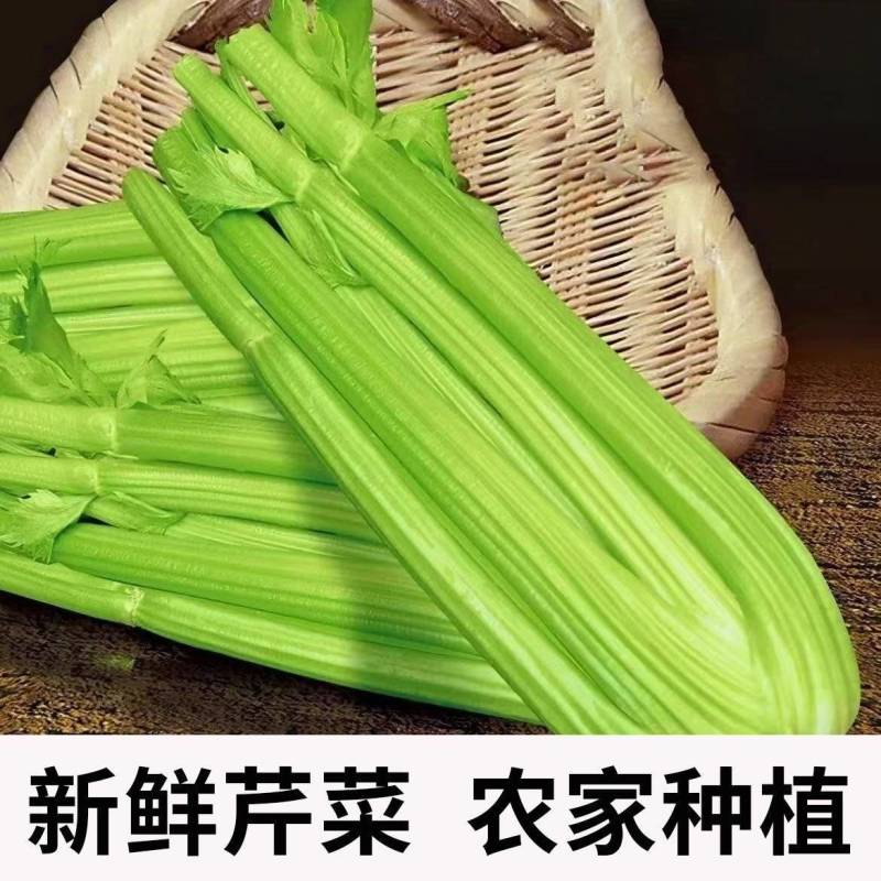 包邮）西芹新鲜蔬菜自种榨汁农家香芹半叶优质脆嫩青菜芹菜