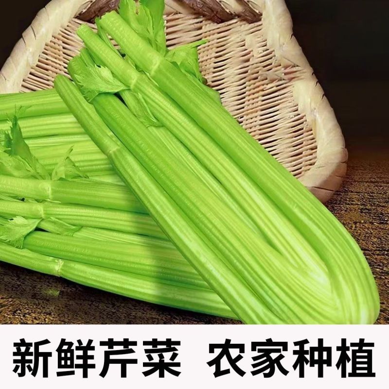 包邮）西芹新鲜蔬菜自种榨汁农家香芹半叶优质脆嫩青菜芹菜