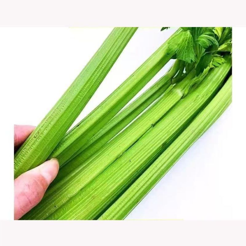 包邮）西芹新鲜蔬菜自种榨汁农家香芹半叶优质脆嫩青菜芹菜