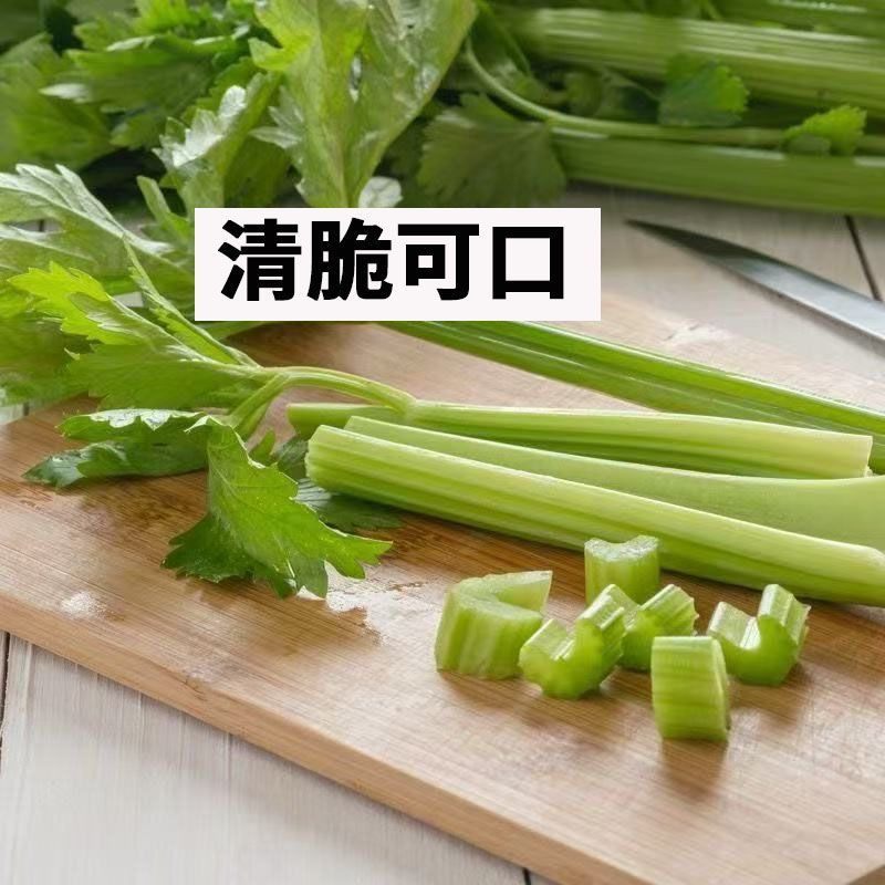 包邮）西芹新鲜蔬菜自种榨汁农家香芹半叶优质脆嫩青菜芹菜