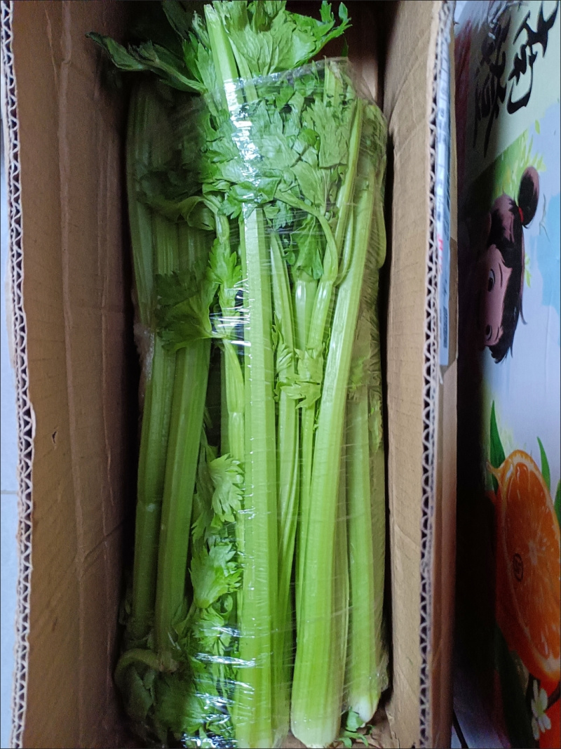 包邮）西芹新鲜蔬菜自种榨汁农家香芹半叶优质脆嫩青菜芹菜
