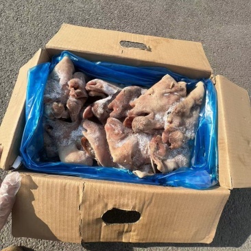 熟羊脸20斤箱，全国发货，量大优惠