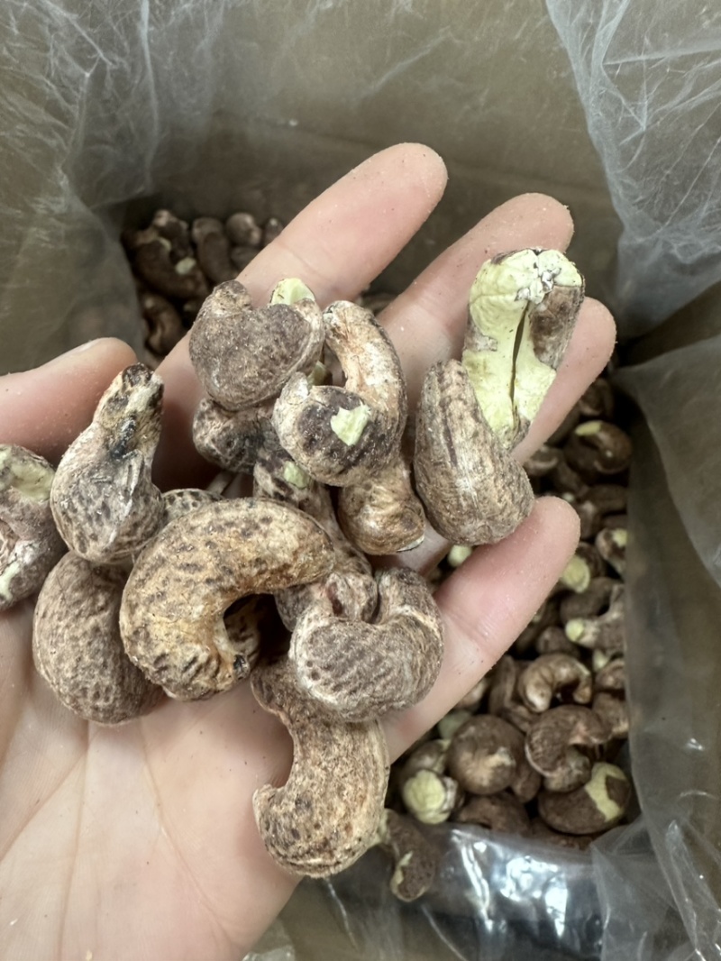紫衣腰果大果180果无坏果好货