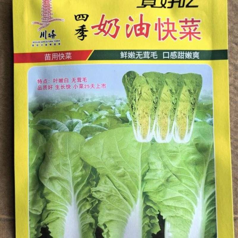 白菜种子四季奶油快菜耐寒耐热鲜嫩无茸毛口感甜嫩爽口