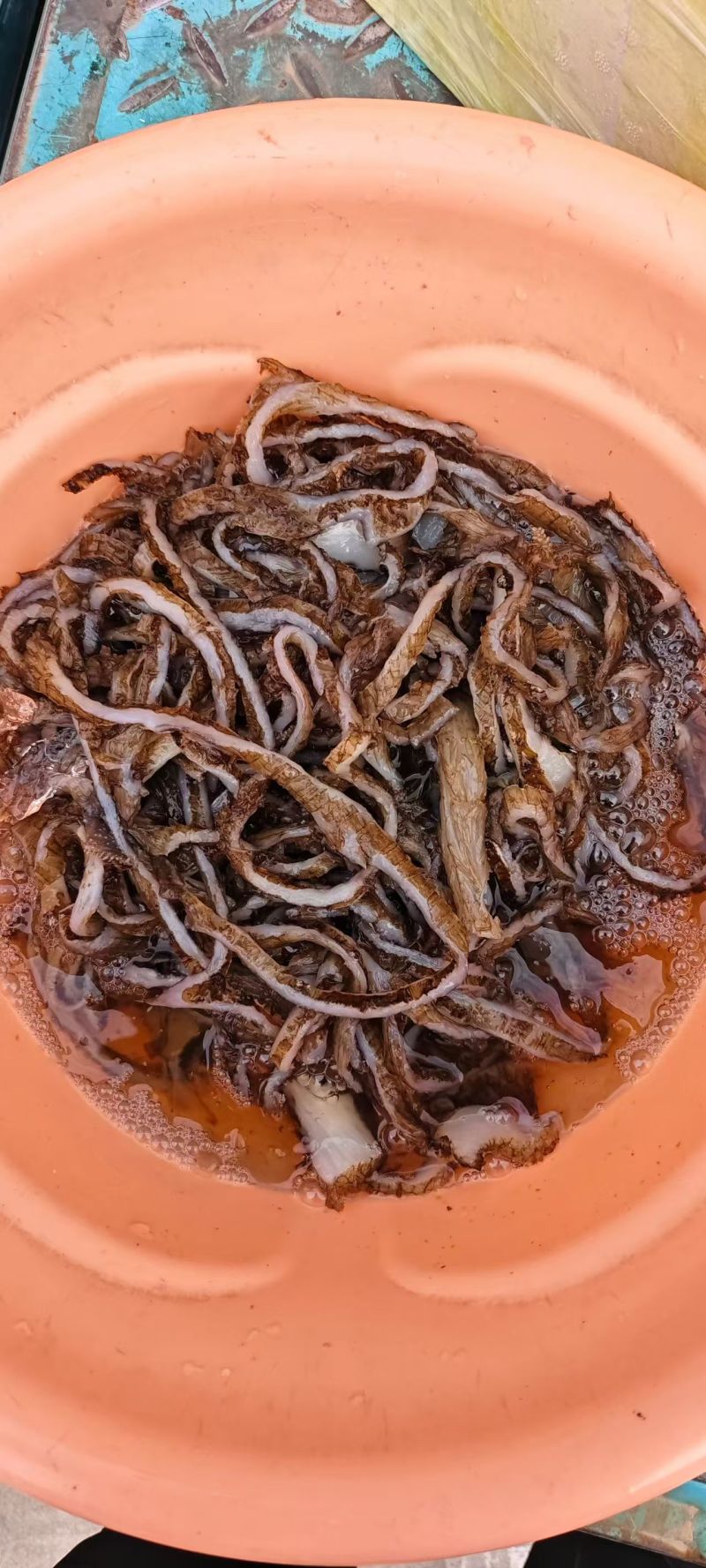 精品牛毛肚底板丝
