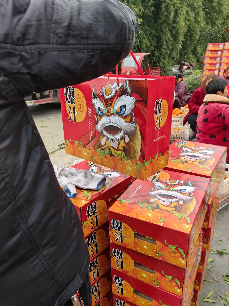 粑粑柑，咪咪甜