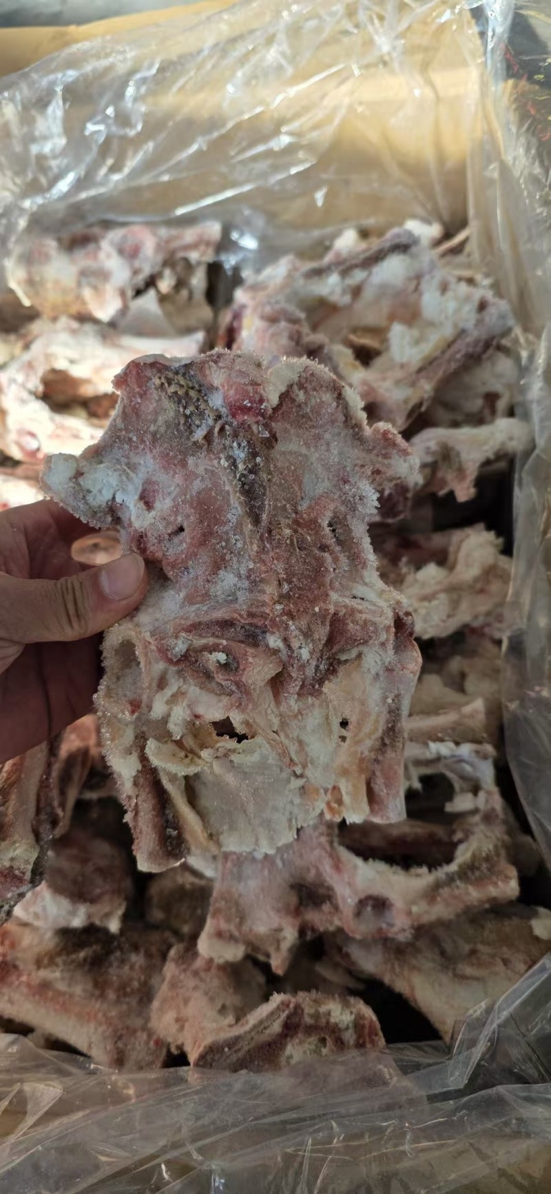 多肉羊胯骨