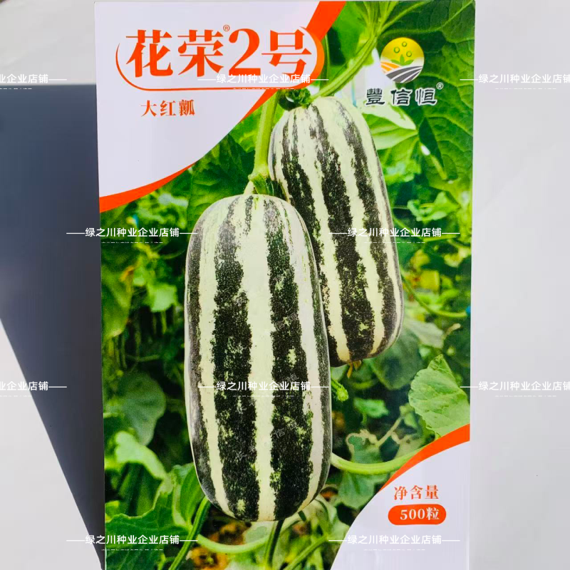 花荣2号甜瓜种子大红瓤花皮棒状干瓤绿肉花皮甜瓜种籽超甜香