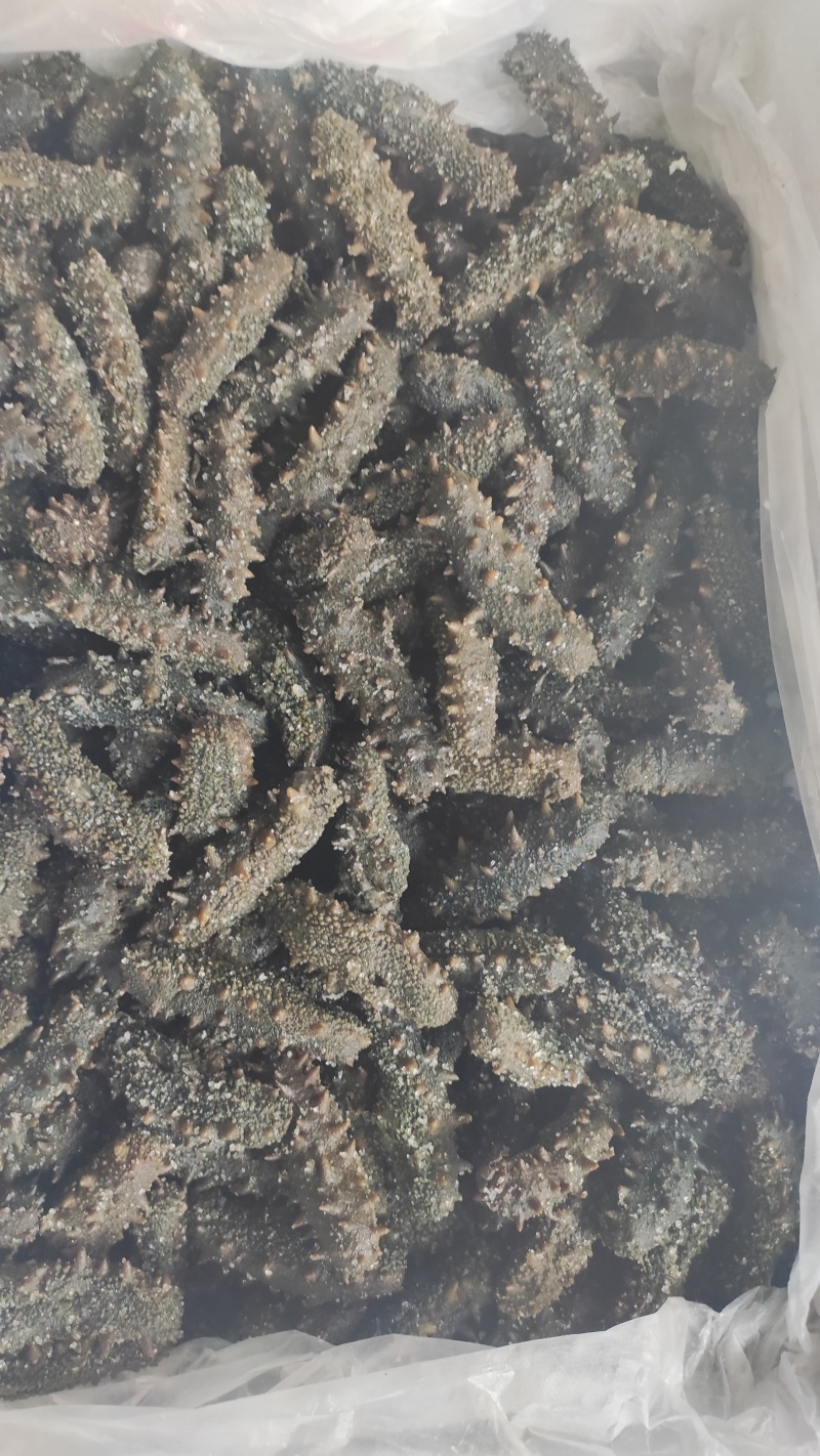 半干海参辽刺参，***，活参加工第一道，滋补美味