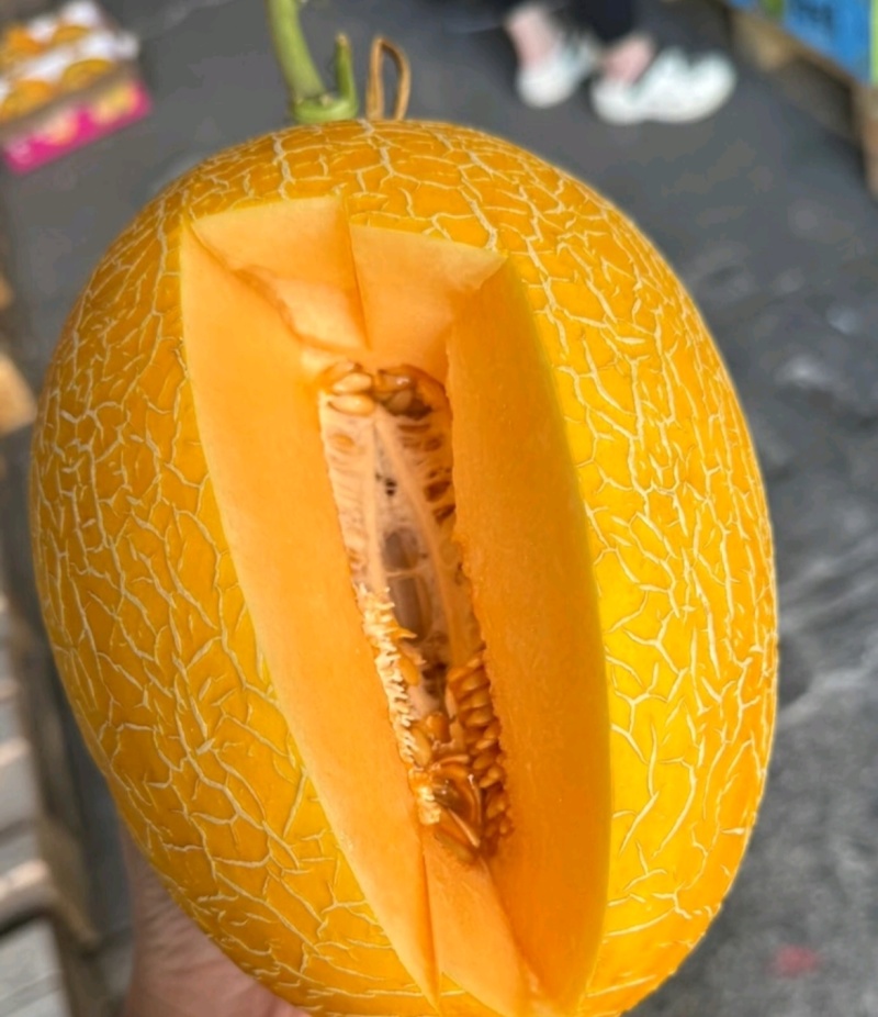 年货节海南黄皮哈密瓜凤金6号金色年华黄肉包熟包甜