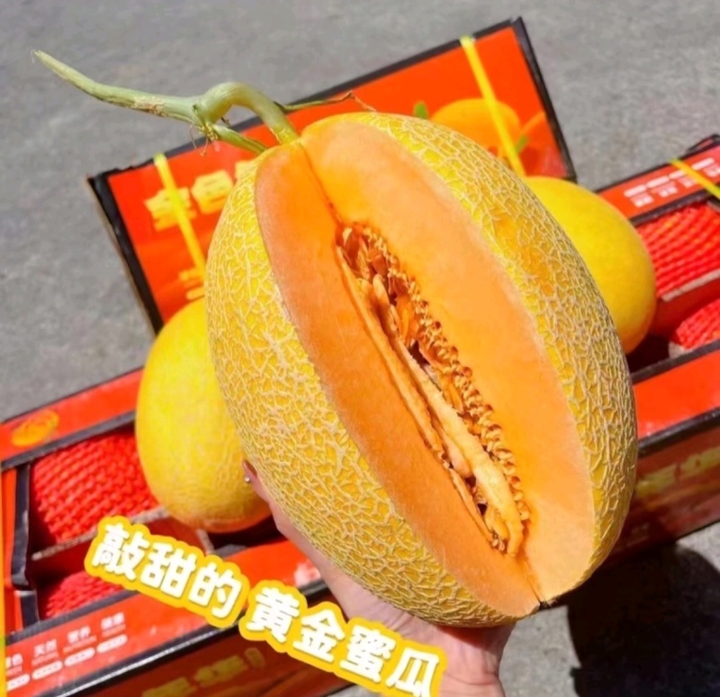 年货节海南黄皮哈密瓜凤金6号金色年华黄肉包熟包甜