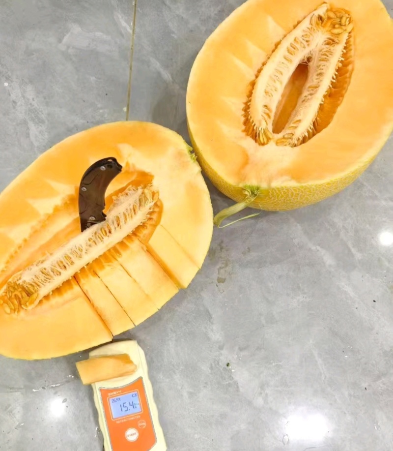 年货节海南黄皮哈密瓜凤金6号金色年华黄肉包熟包甜