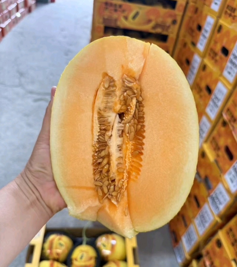 年货节海南黄皮哈密瓜凤金6号金色年华黄肉包熟包甜