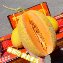 年货节海南黄皮哈密瓜凤金6号金色年华黄肉包熟包甜