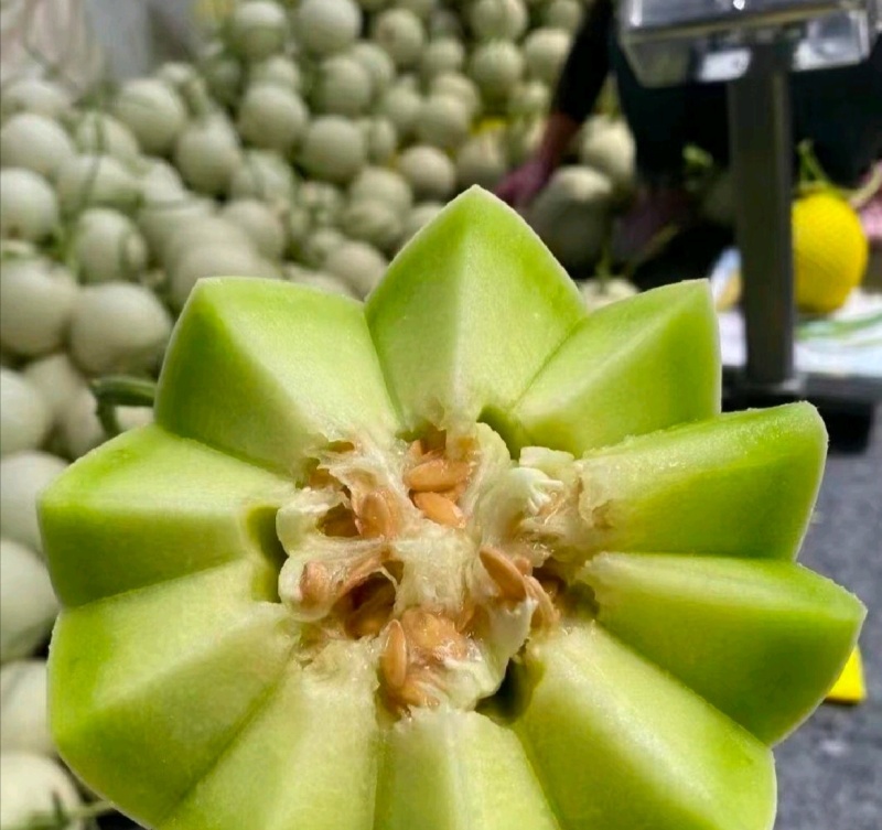 【年货节】海南精品玉菇甜瓜绿皮绿肉甜美多汁欢迎联系