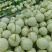 【年货节】海南精品玉菇甜瓜绿皮绿肉甜美多汁欢迎联系