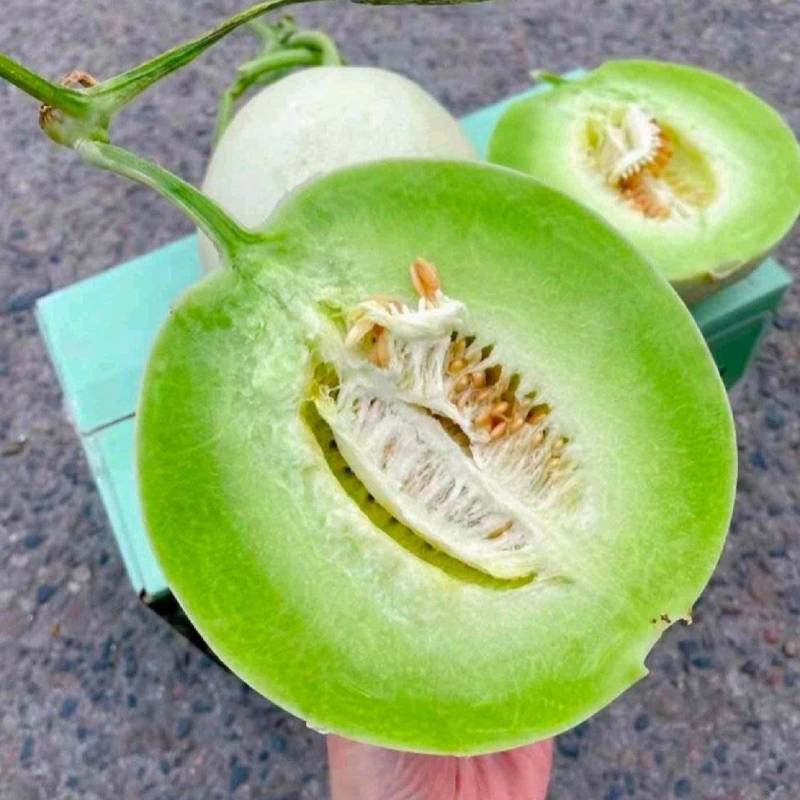 【年货节】海南精品玉菇甜瓜绿皮绿肉甜美多汁欢迎联系