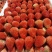【新鲜】现摘现发的红颜草莓品种优良可视频看货全国可发