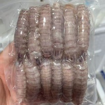 ***皮皮虾