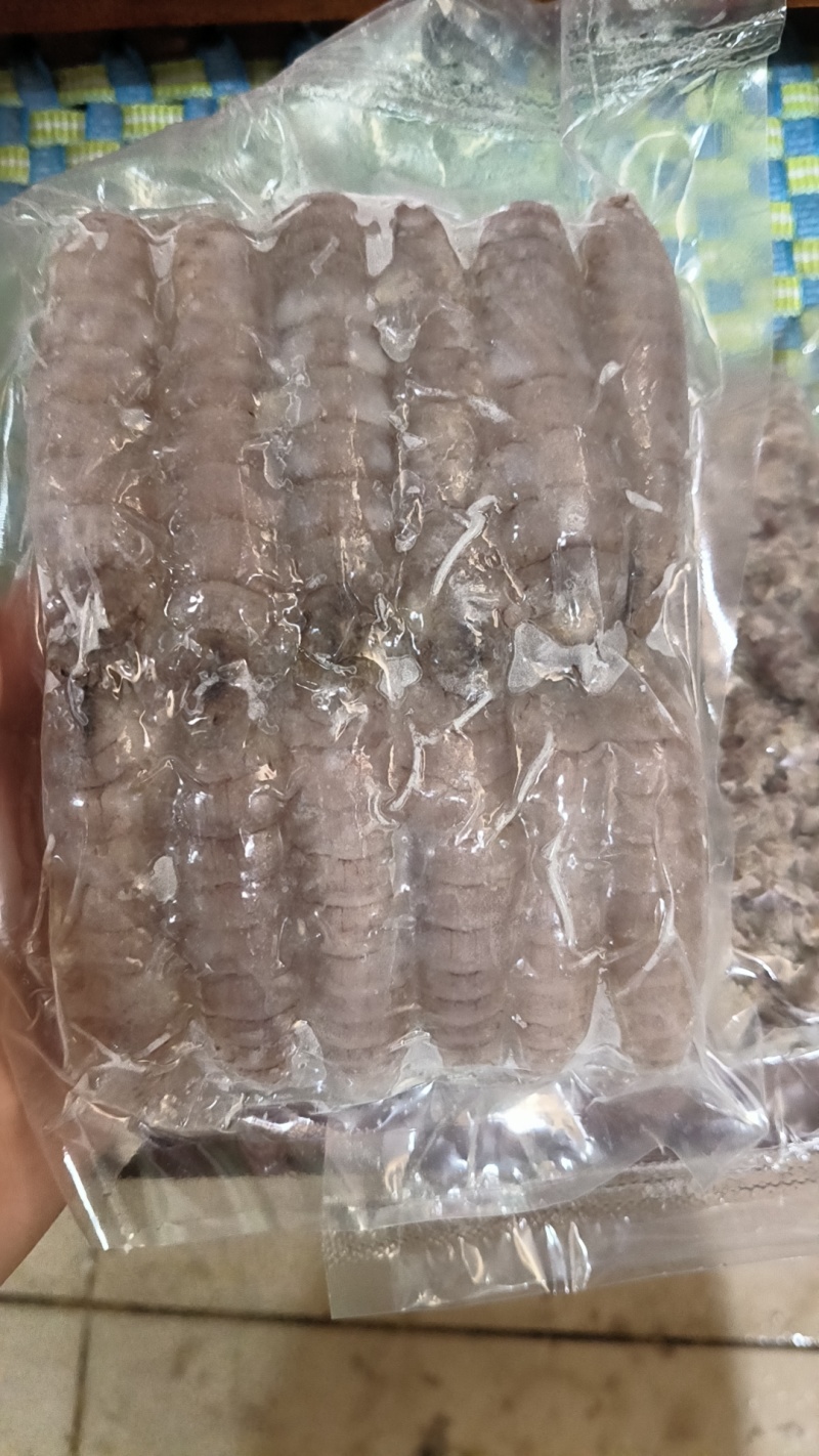 ***皮皮虾