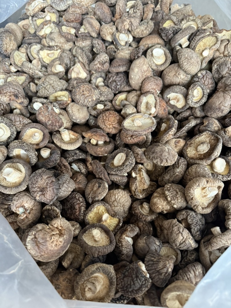 包邮精选干香菇3-4烘干剪脚常年供应全国发货
