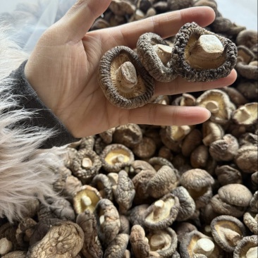 包邮精选干香菇3-4烘干剪脚常年供应全国发货